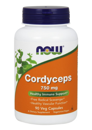 Cordyceps, Hernyó lepkefű gyógygomba